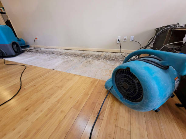 Professional Sewage Cleanup technician working in Chico, TX